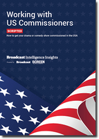 Working with US Commissioners Report