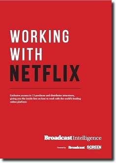 Working with Netflix report